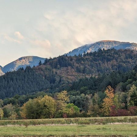 Ferienwohnung Belchenblick Staufen im Breisgau Esterno foto