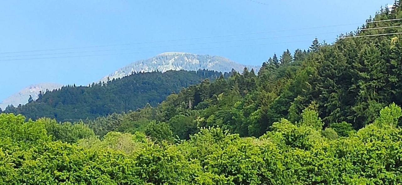 Ferienwohnung Belchenblick Staufen im Breisgau Esterno foto