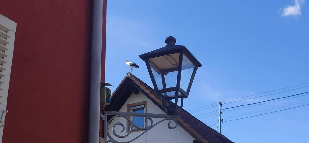 Ferienwohnung Belchenblick Staufen im Breisgau Esterno foto