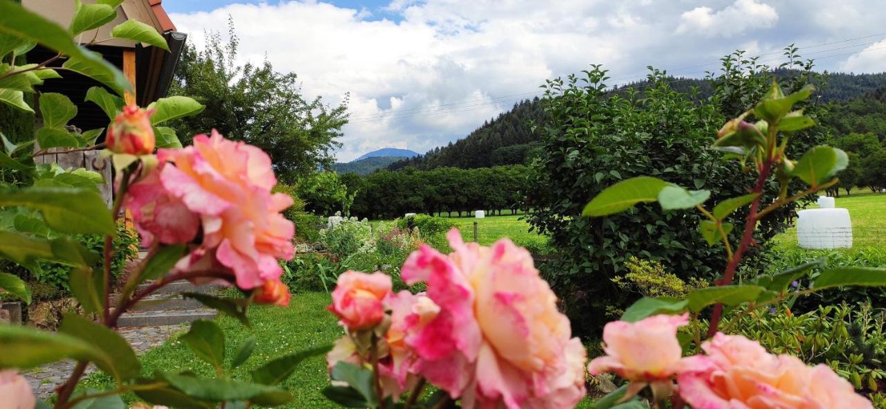 Ferienwohnung Belchenblick Staufen im Breisgau Esterno foto