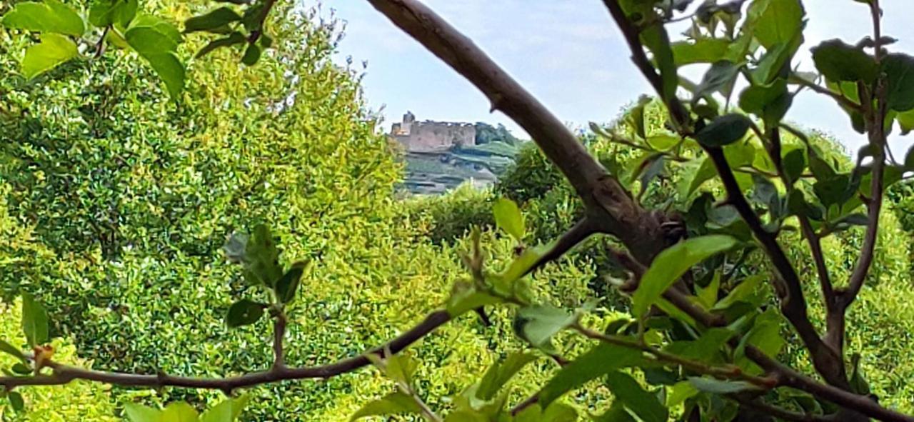 Ferienwohnung Belchenblick Staufen im Breisgau Esterno foto