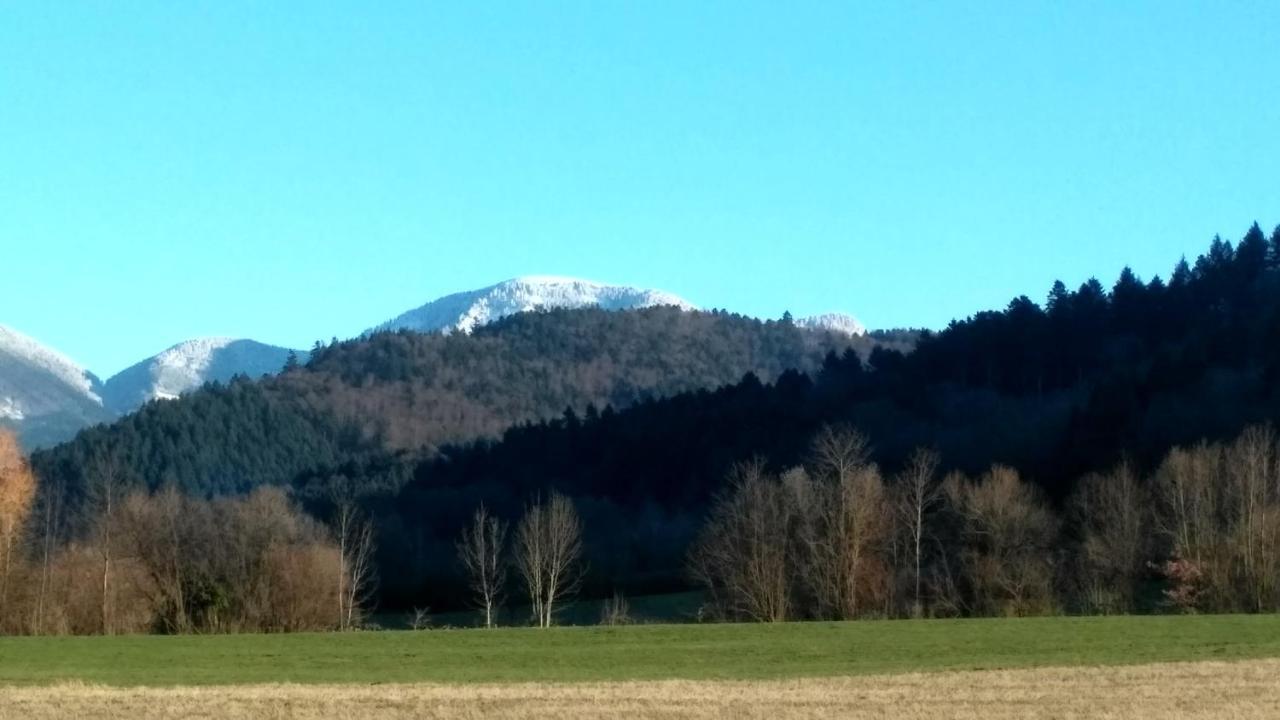 Ferienwohnung Belchenblick Staufen im Breisgau Esterno foto