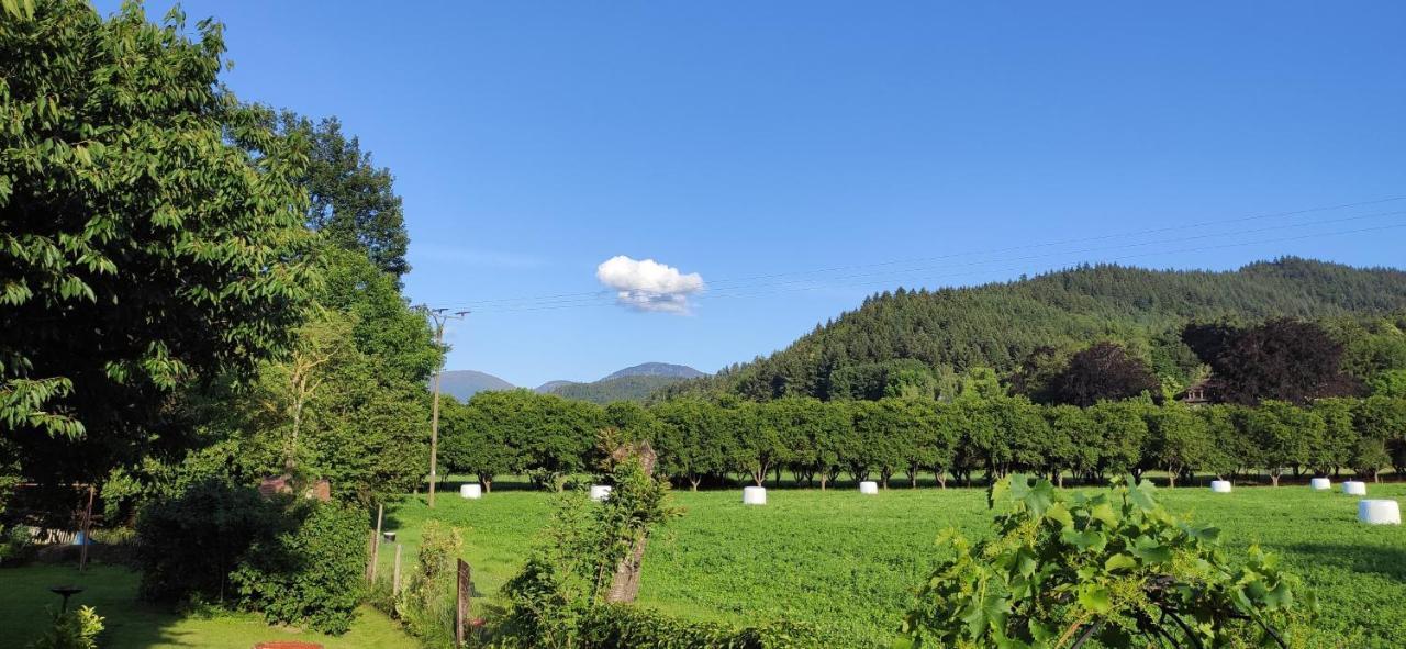 Ferienwohnung Belchenblick Staufen im Breisgau Esterno foto
