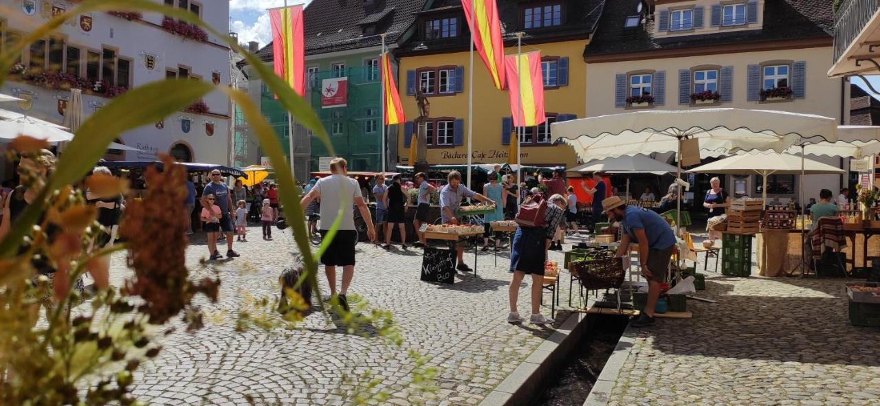 Ferienwohnung Belchenblick Staufen im Breisgau Esterno foto