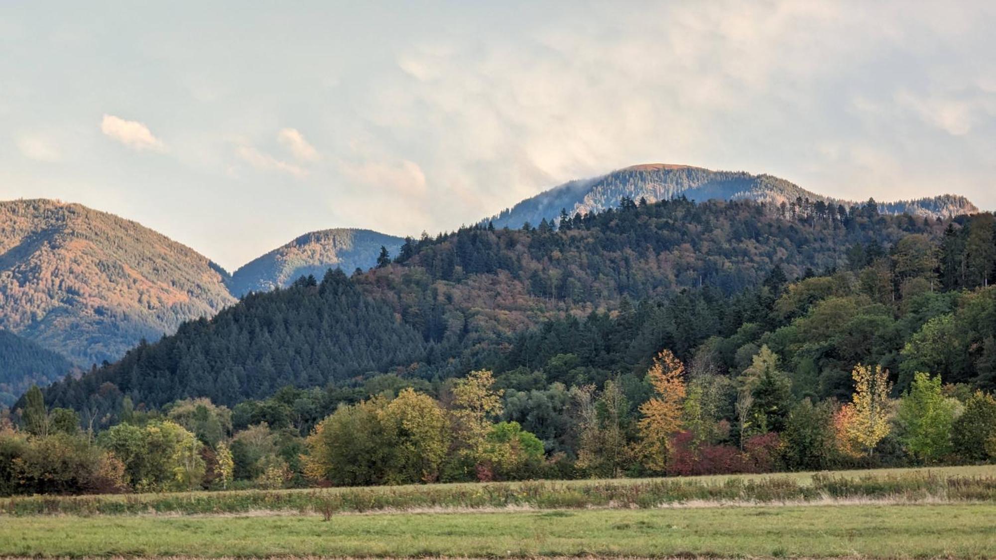Ferienwohnung Belchenblick Staufen im Breisgau Esterno foto